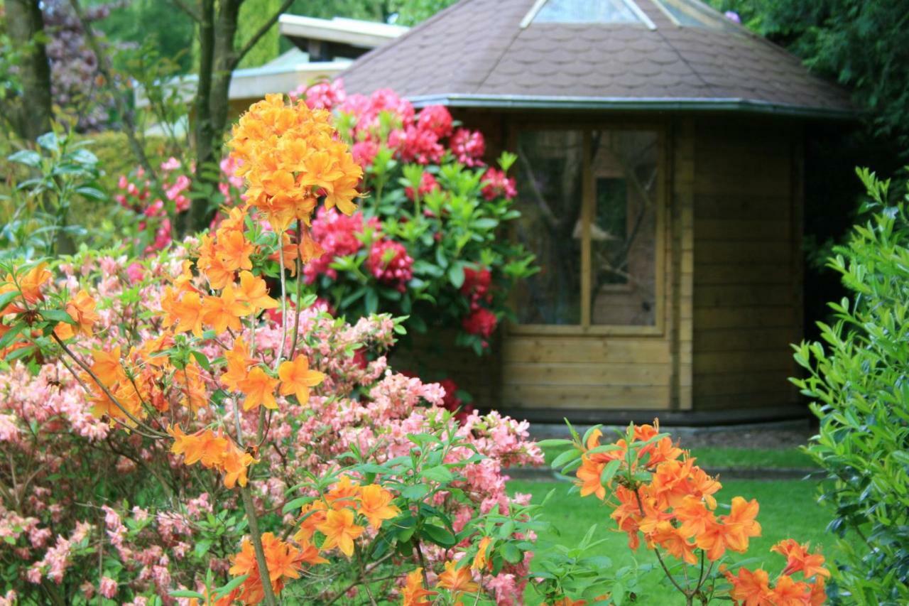 Ferienhaus Wieke Wiesmoor Zewnętrze zdjęcie